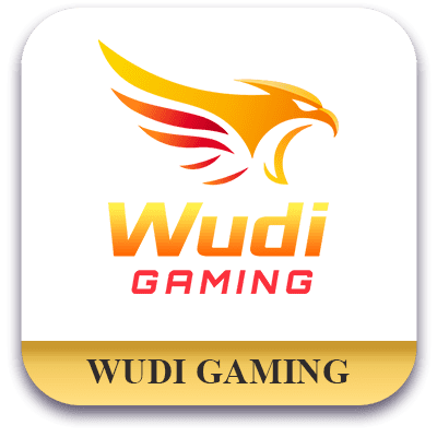 Wudi Gaming